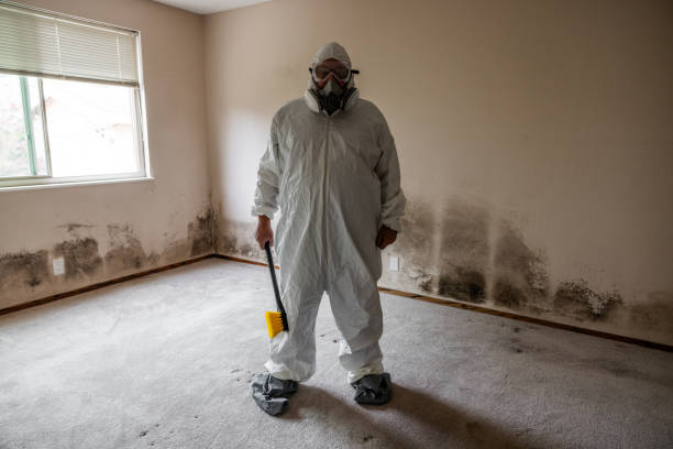 Best Mold Testing and Inspection Services in Reading, OH
